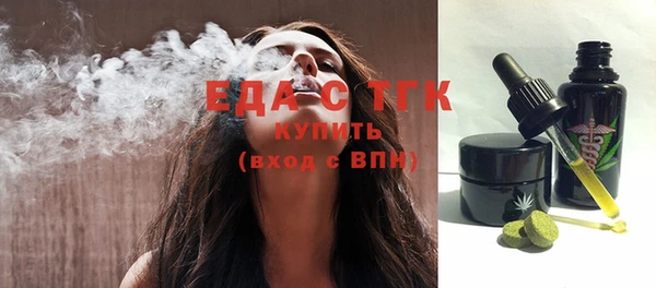 стаф Корсаков