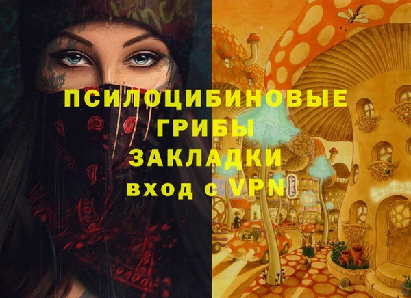прущий лед Алексин