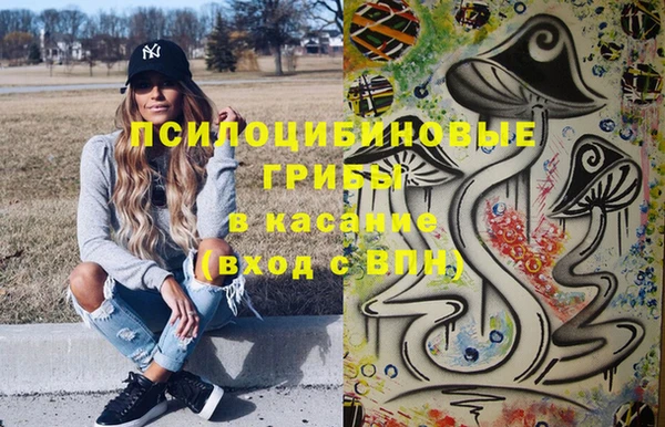 прущий лед Алексин
